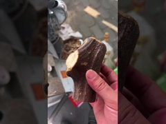 Các loại thảo mộc y tế